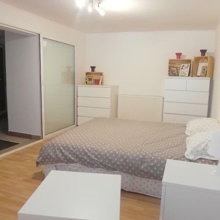 Apartmán Studio Moliere Brašov Exteriér fotografie