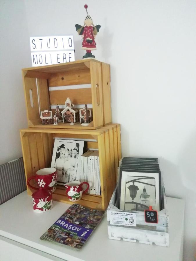 Apartmán Studio Moliere Brašov Exteriér fotografie