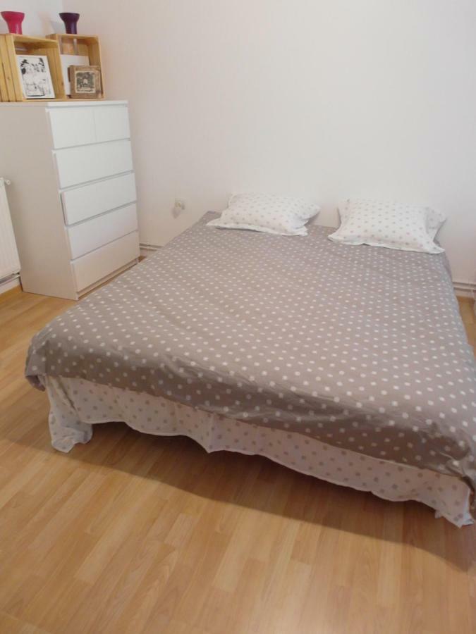 Apartmán Studio Moliere Brašov Exteriér fotografie