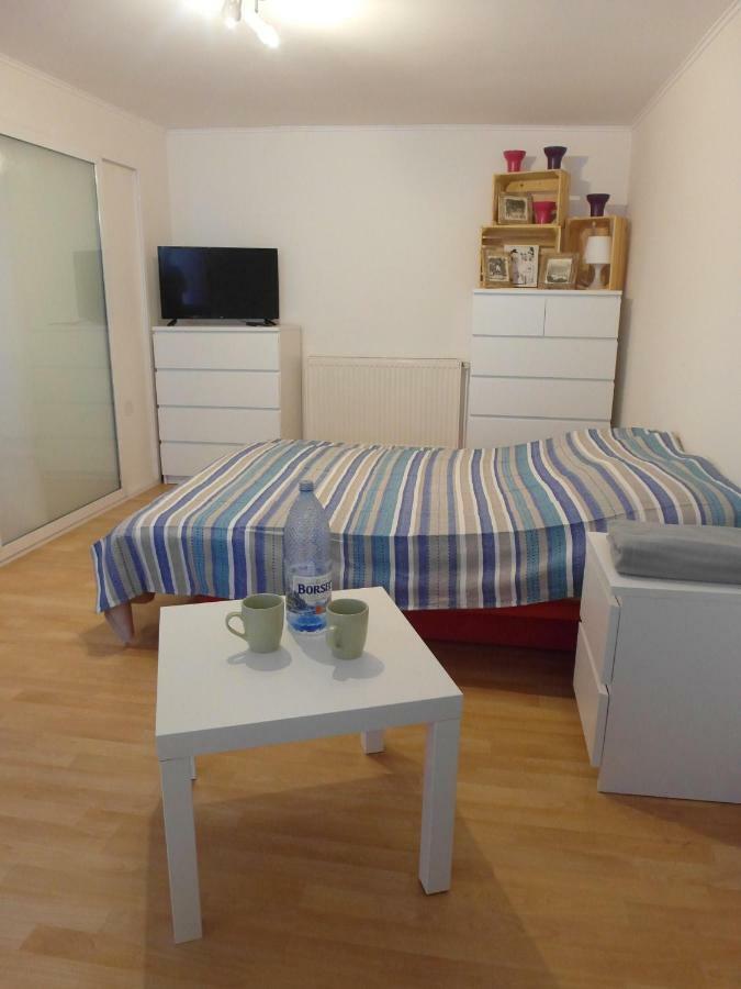 Apartmán Studio Moliere Brašov Exteriér fotografie